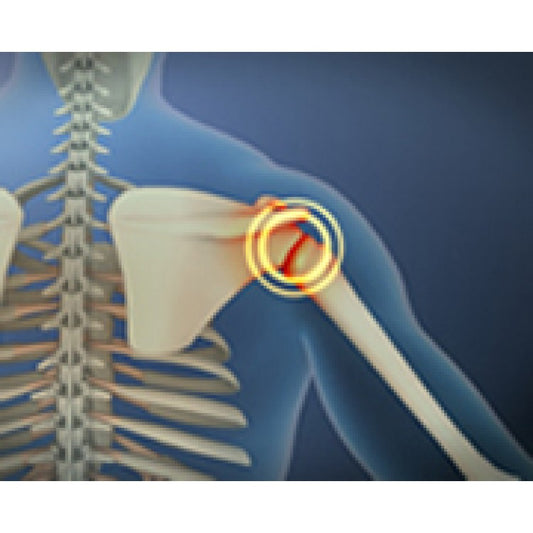 Sandhi Sudha Plus Oil